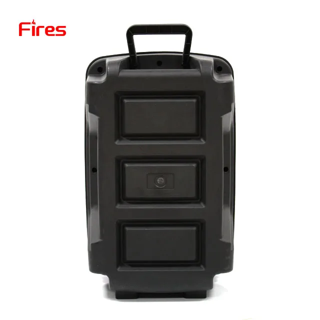 equipo de sonido 8 pulgada good quality price - ANKUX.COM