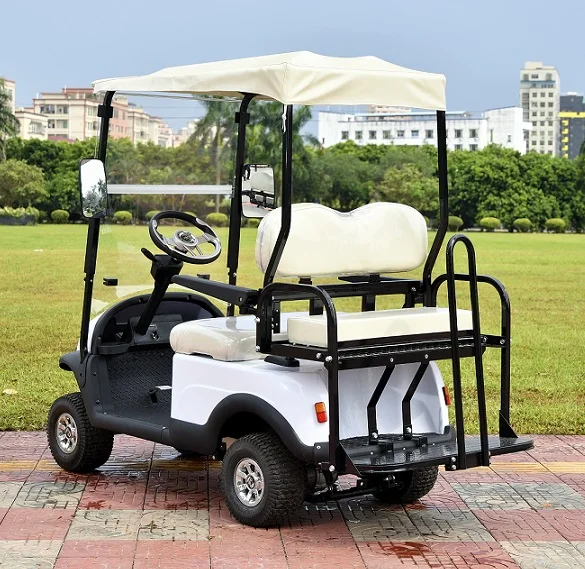 Smart Mini Single 4 wheel drive electric golf cart 1 person with CE