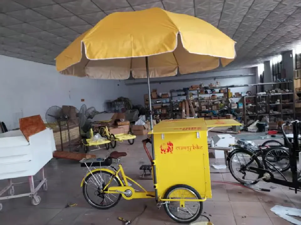 Oem Three Wheel Cargo Bike Electric Tricycle For Vending Ice Cream Hot