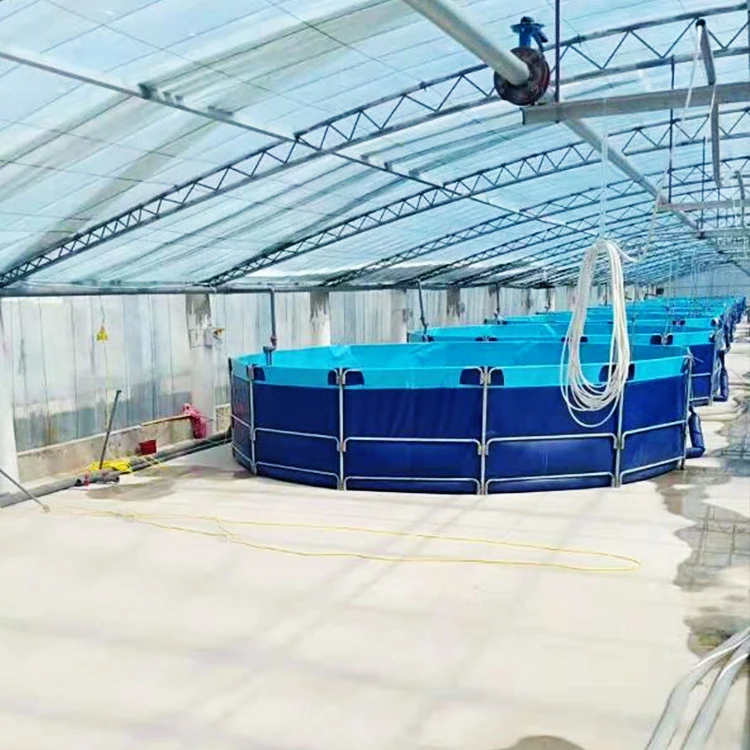 PVC Customized pools Folding Water Tanks pvc Fish Tanks high quality
