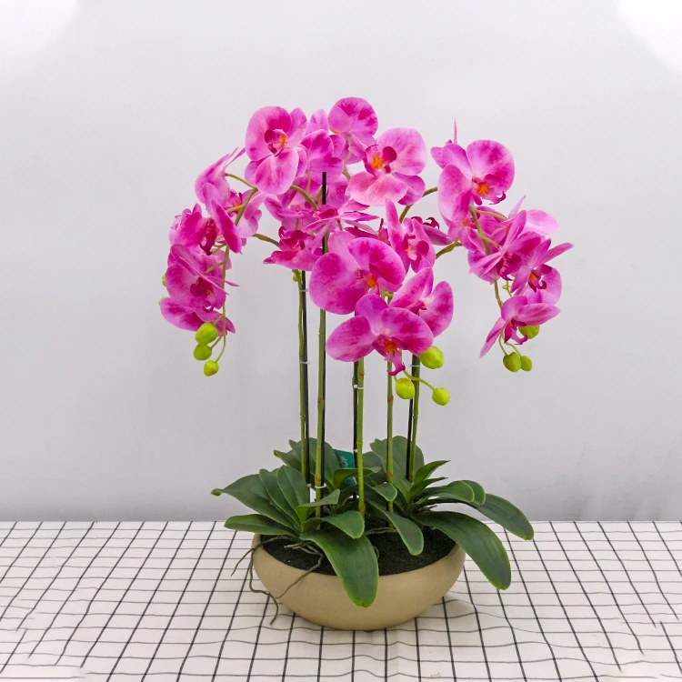 Cari Terbaik Merangkai Bunga Anggrek Plastik Produsen Dan Merangkai Bunga Anggrek Plastik Untuk Indonesian Market Di Alibaba Com