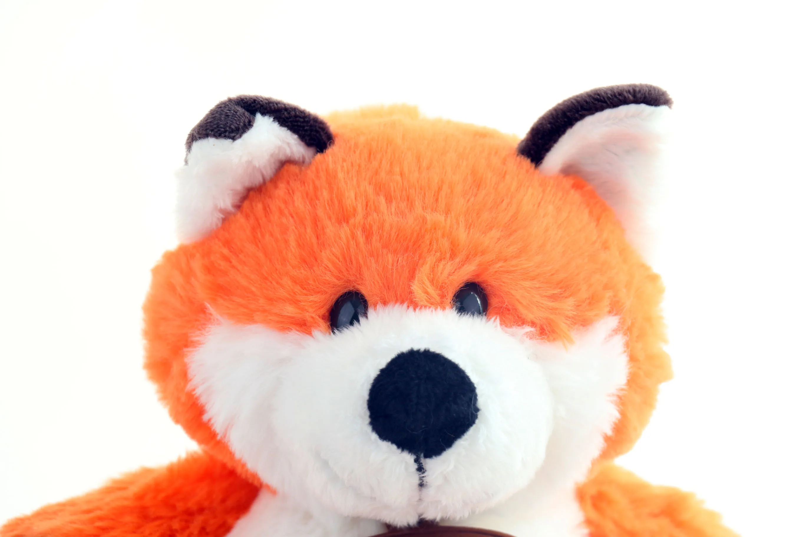 定制批发 25厘米动物园野生动物吉祥物软硬玩具毛绒狐狸玩具 - buy