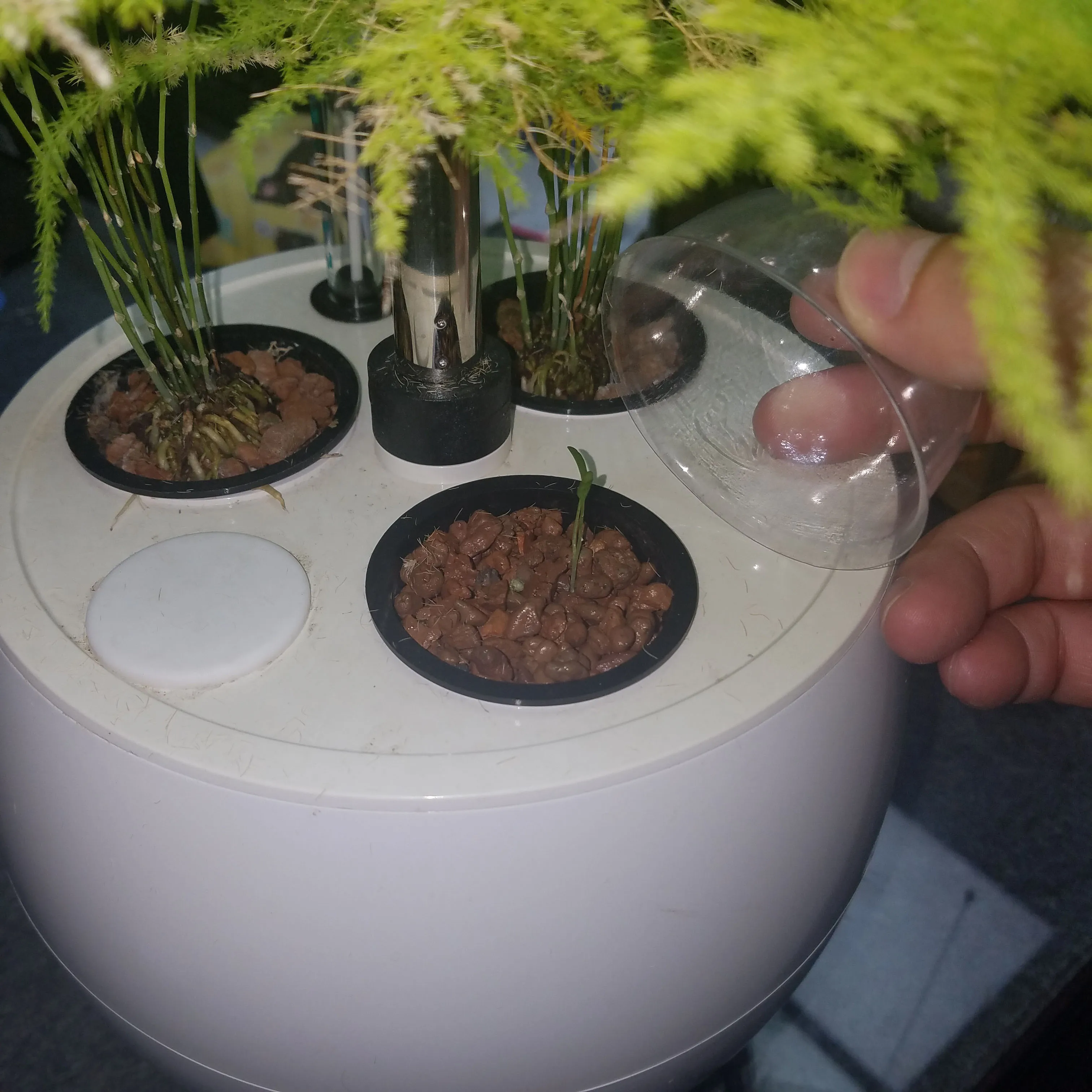 office mini green plant air purifier