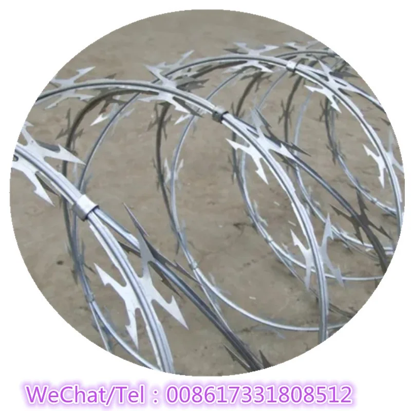 Cheap Galvanized Clips Razor Wire /razor Barbed Wire Clip Buy
