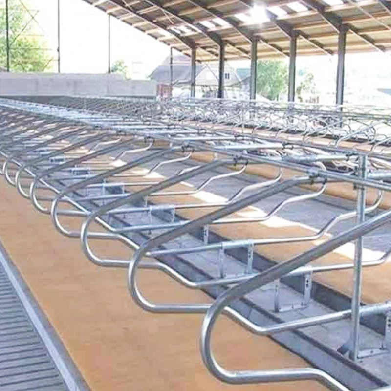 Cow Farming Equipment Hot Galvanized Steel Dairy Barns Cow Comfort
