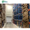 cotton flower shani drink industrial cold storage convert walk in cooler to freezer freezer storage room