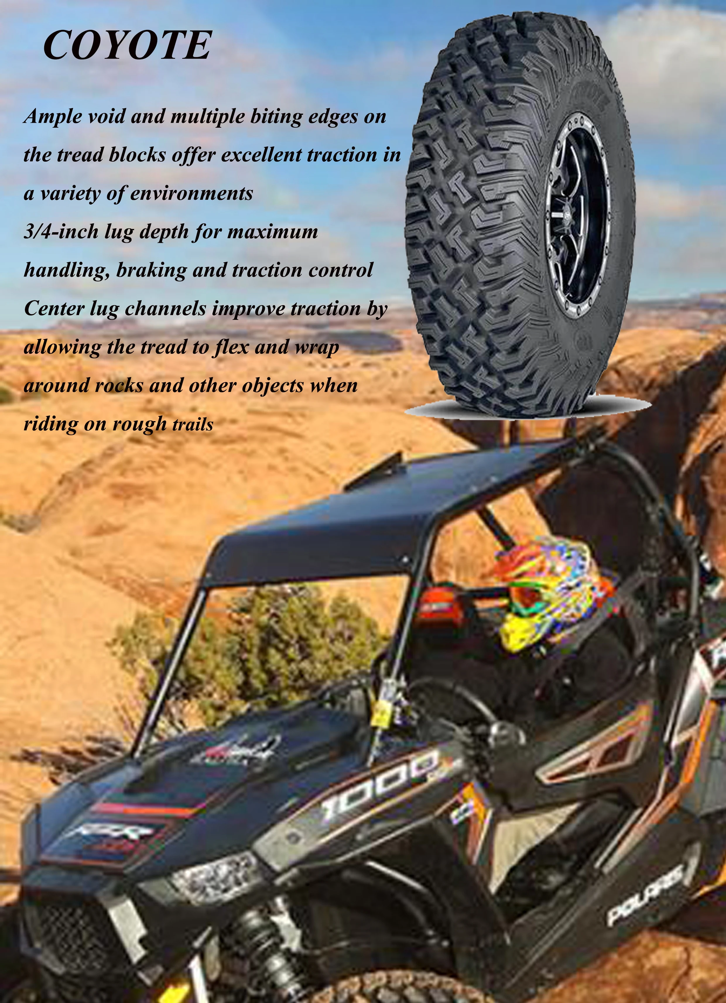 COYOTE-1.jpg