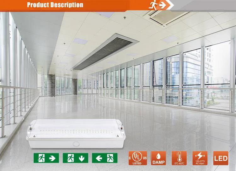 Uae Dubai Civil Defense Dcd Coc Emergency Lights Led For Outdoor