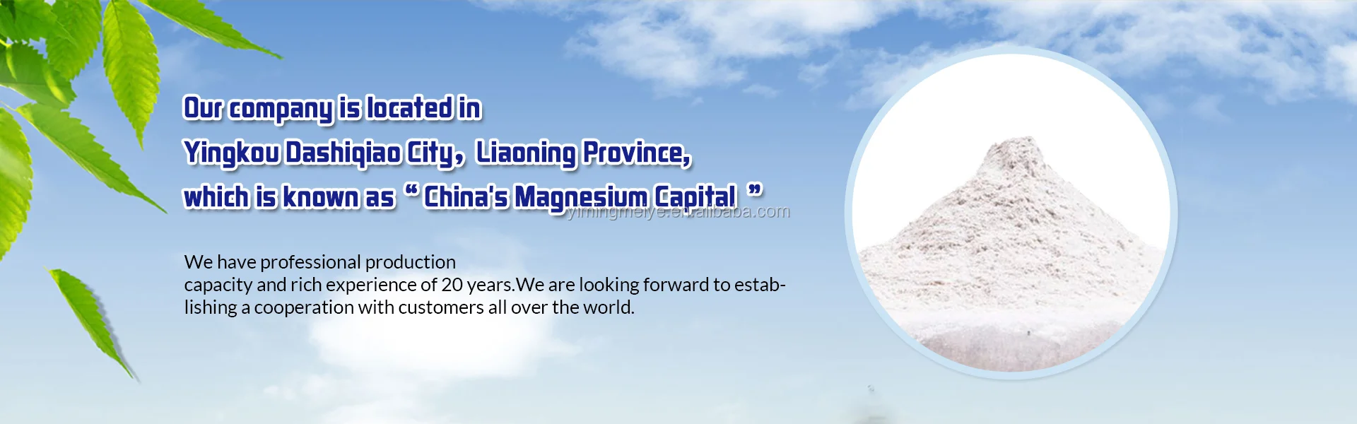 google banner (1)