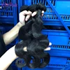 50% OFF Free Sample China Wholesale Competitive Price Hair Bundles