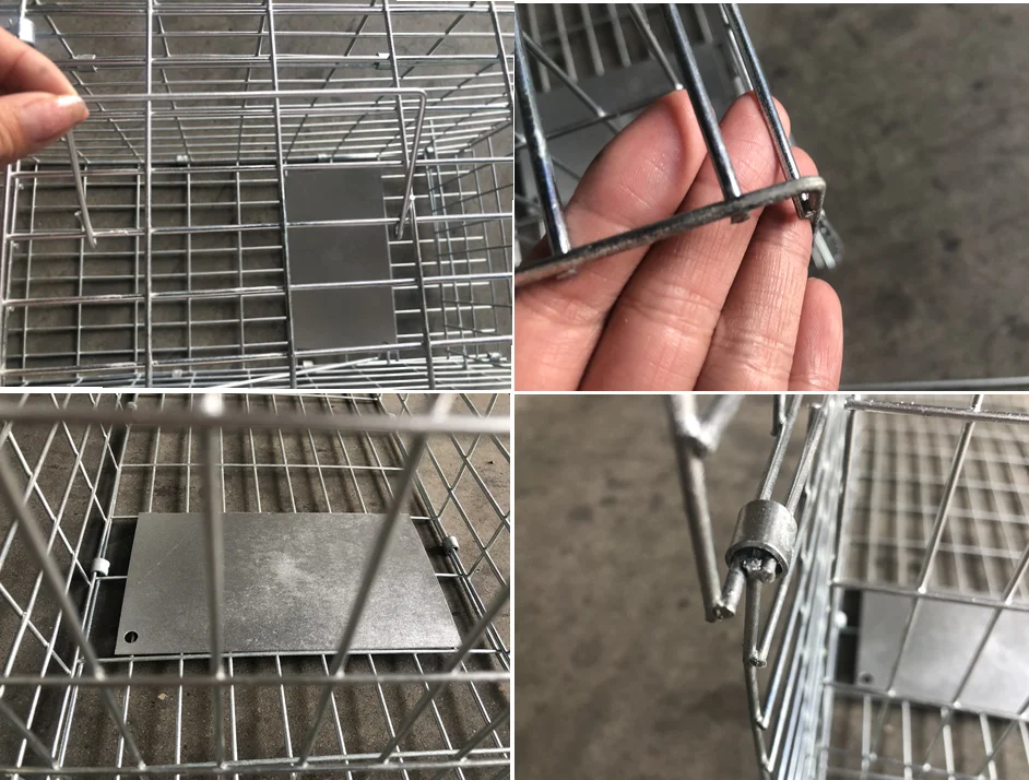Animal Traps 7.png