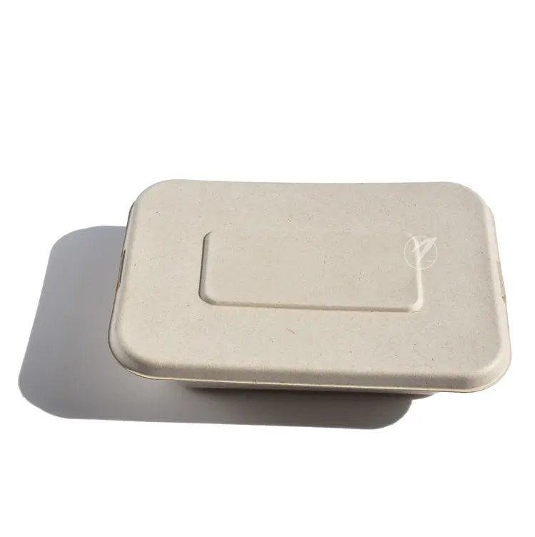 Hot selling no leaking bagasse disposable biodegradable food container