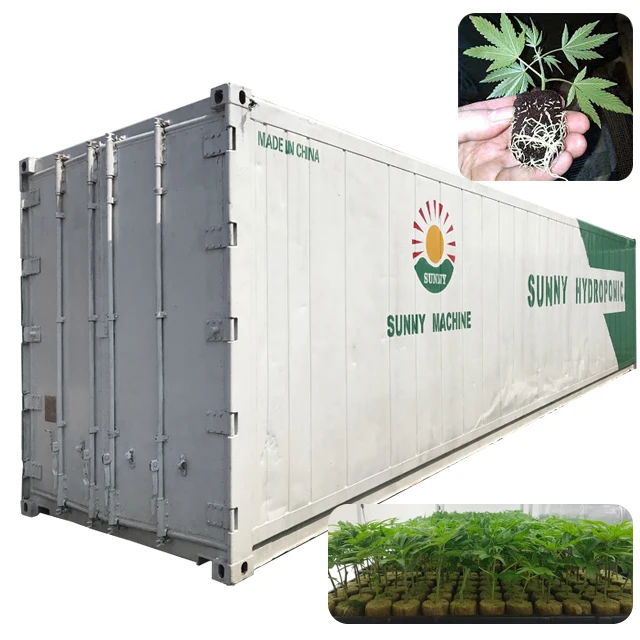 
How to Hydroponic Grow hemp Weed in machinery system 