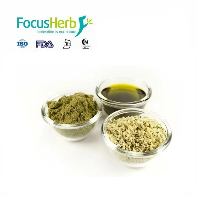 focusherb supply hemp oil/ hemp seed