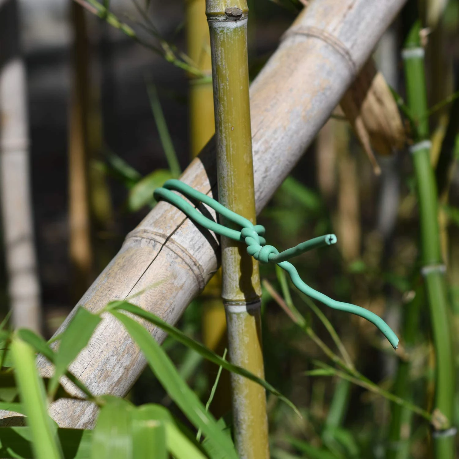 Twist Ties Plants Ties Plastic Green Garden Plants Organizer Wire Tie
