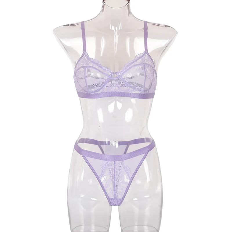 Purple Lingerie Set, Aubogene and Lavender Plus Size Thong and Bralette  Sexy Underwear by Fidditchdesigns -  Israel