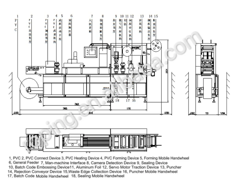 WPS-(6).jpg