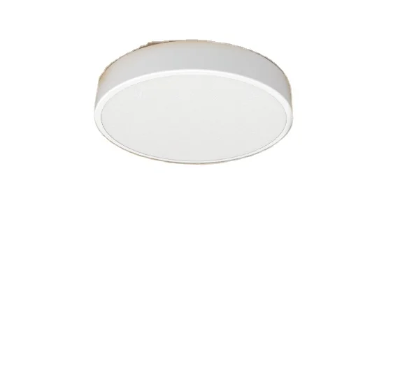 Economical Custom Design Dimmer Wifi Smart Ceiling Lamp In Lighting