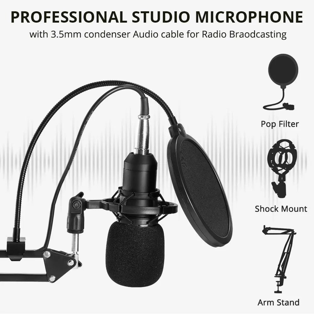 microphone (16).jpg