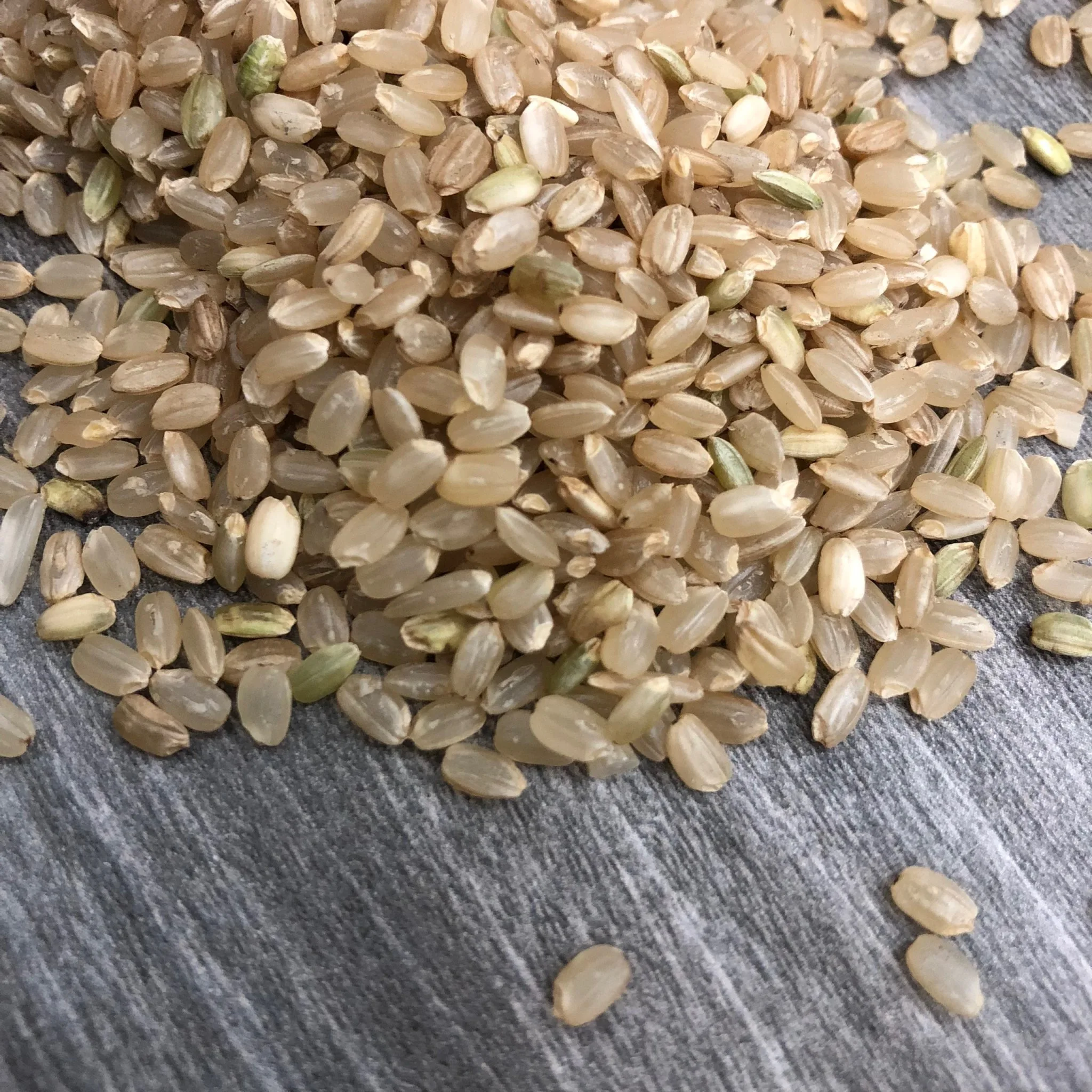 Brown Rice Best Quality Brand Manufacturer From Vietnam Custom Logo