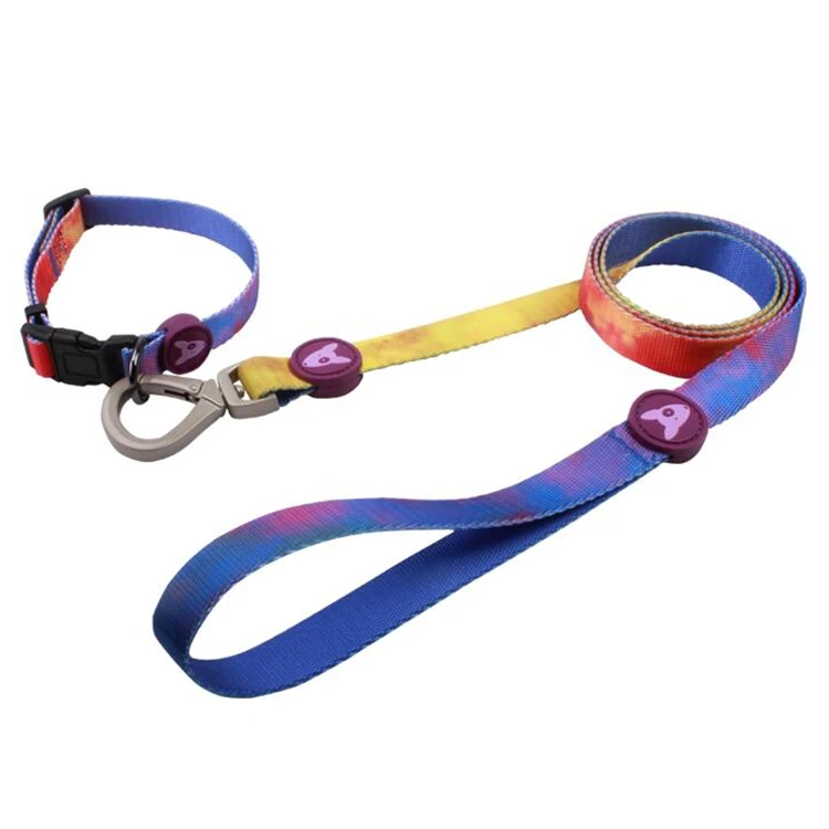 Dog collar leashes-22