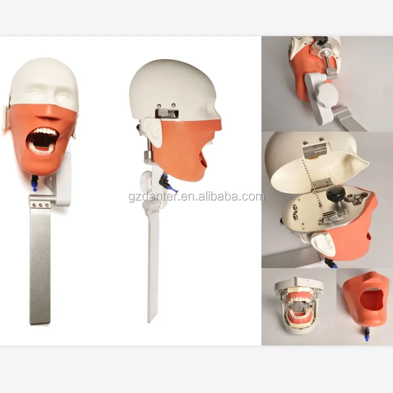 Simulation Dummy Kopf Puppe Bank Montiert Einfache Phantom Kopf Modell