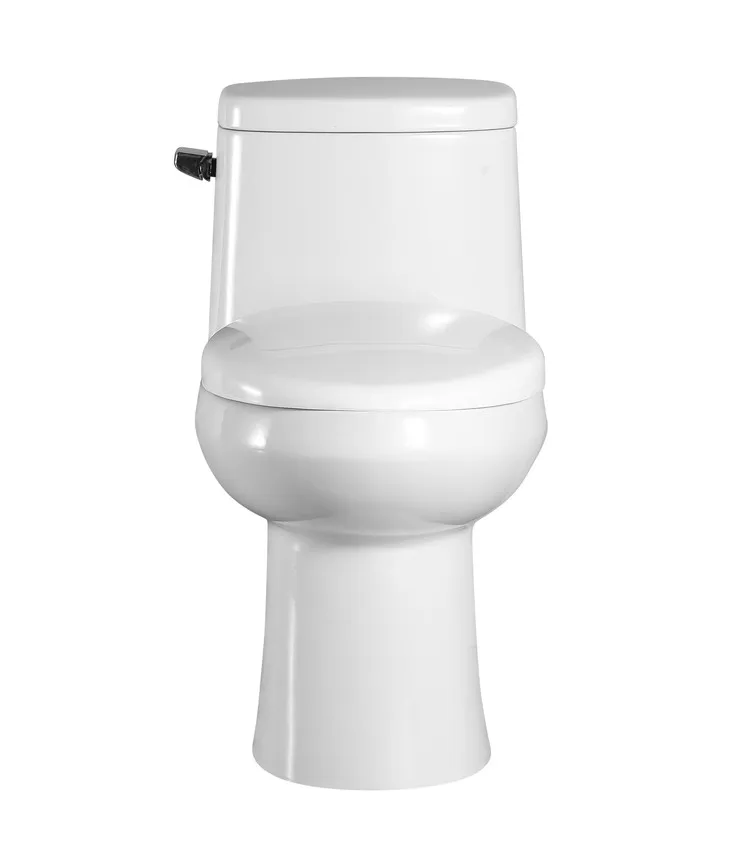 Hot selling dual flush office building hospital ceramic one piece washdown toilet
