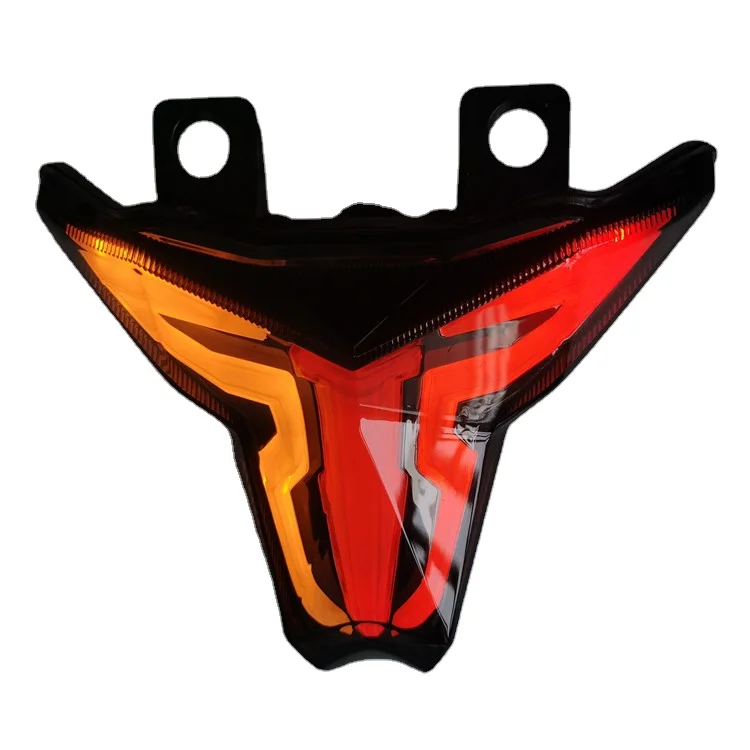 Kawasaki ZX Series Motorcycle Tail Light | LED TAI Light for ZX25R
