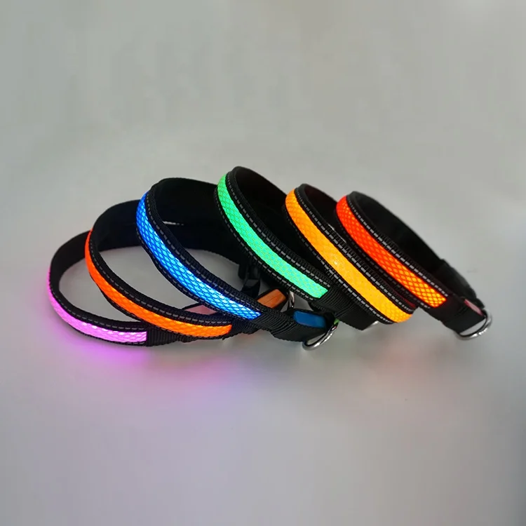 led dog collar petsmart