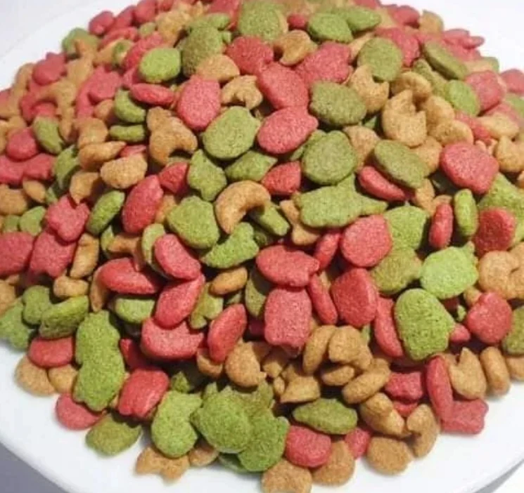 Salmon Flavour 1kg Winstar Cat Food Pet Food Dry Food Wholesale From