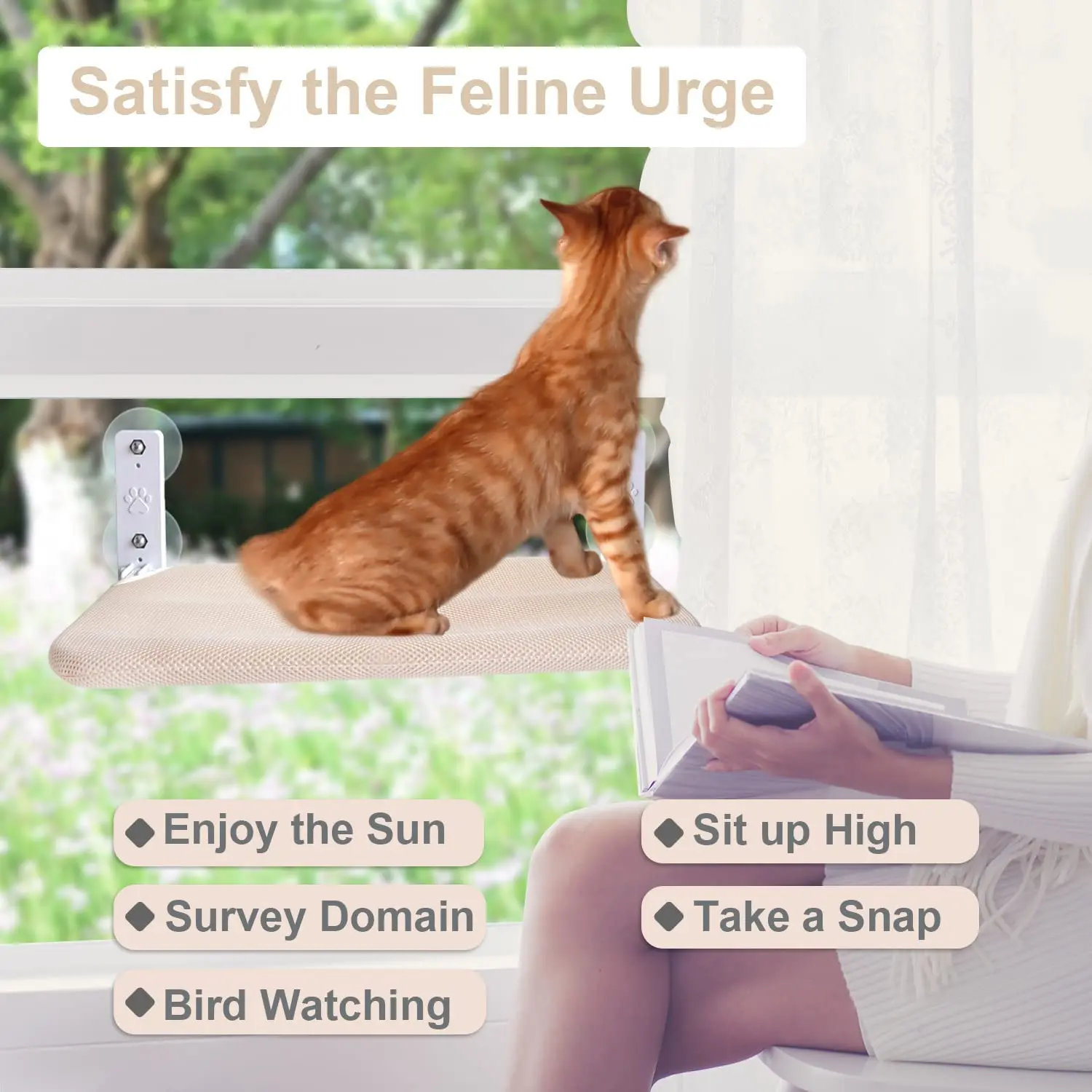 Cat Window Perch Foldable Cat Hammock Saving Space Cat Bed All Around