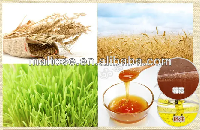 mojito recipe simple syrup