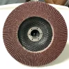 Factory for Aluminium Oxide Flap Disc for Polishing the Plane