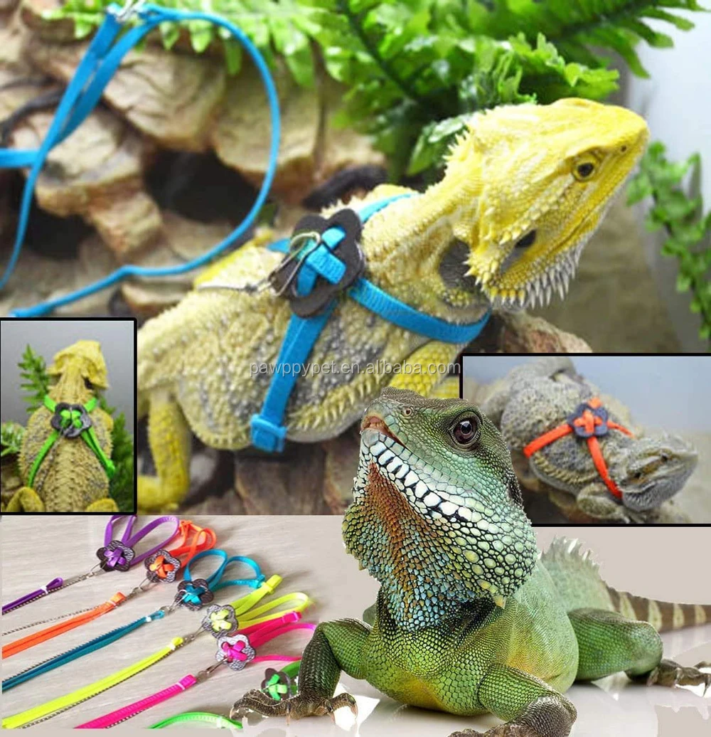 Harness Leash Adjustable Rope Strap For Reptile Lizard Parrot Bird Leash Ropes 