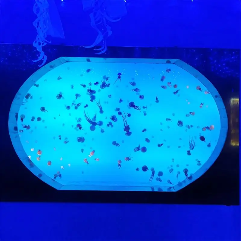 Jellyfish Aquarium 7