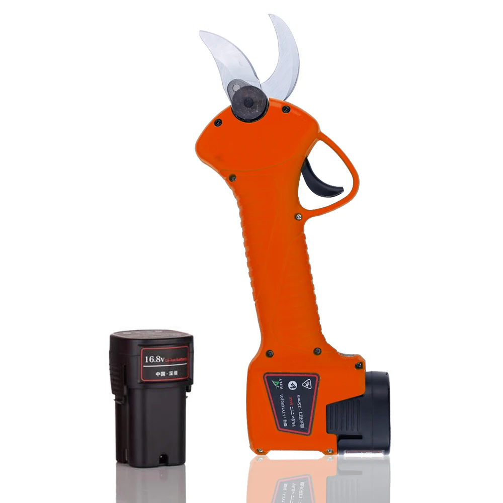 ORANGE 1.jpg