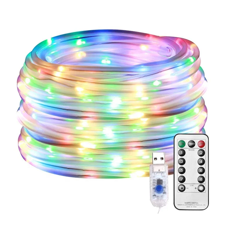 Remote Control Multifunctional USB LED Strip Light For Garden Holiday Decoration