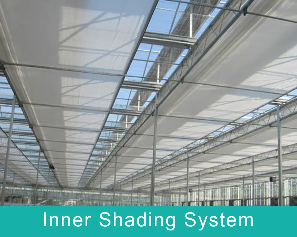 Multi Span Passive Solar Greenhouse Film Fastening Plastic Greenhouses