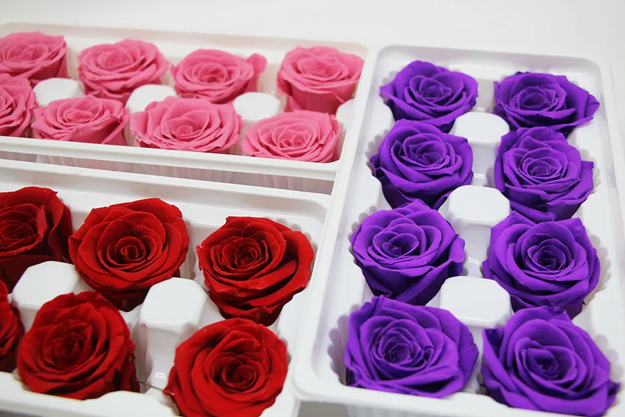 Everlasting Roses Preserved Long Lasting 45cm Preserved Rose Khaki