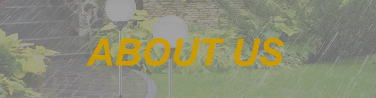 ABOUT US.png