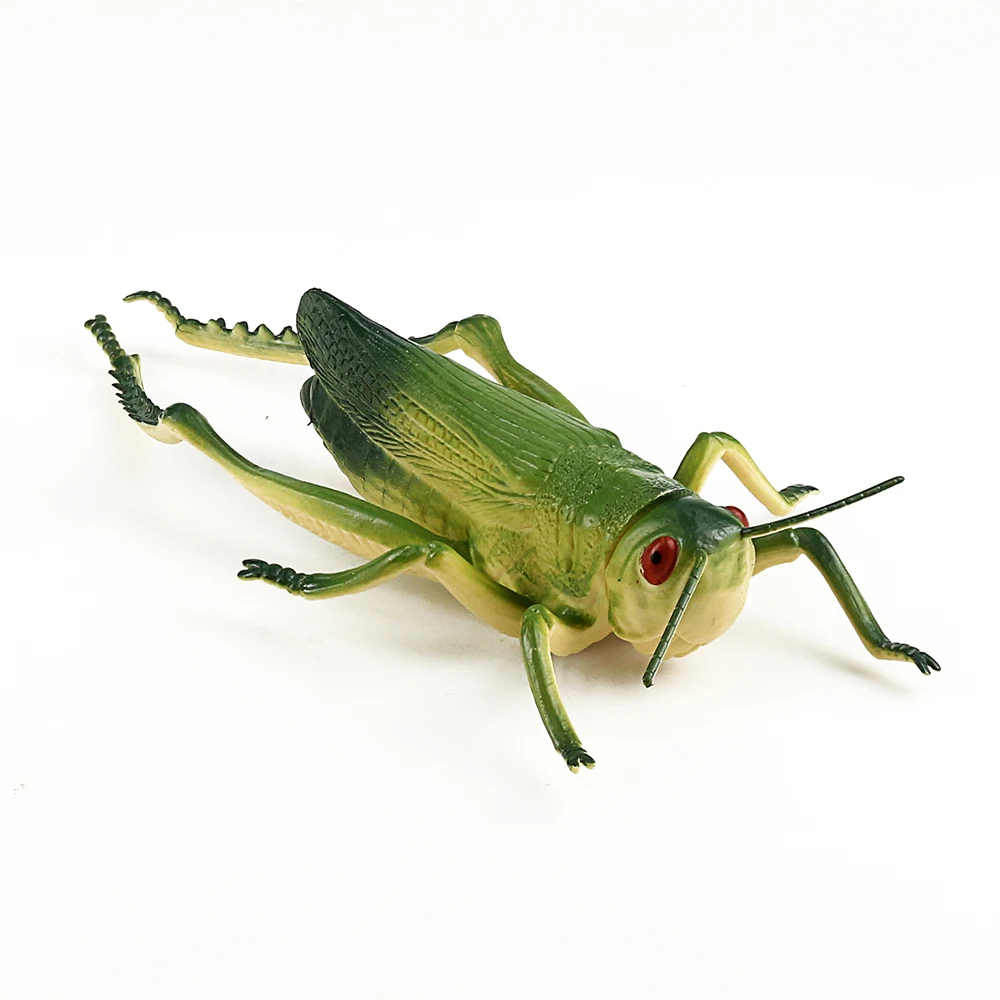 plastic grasshopper toys