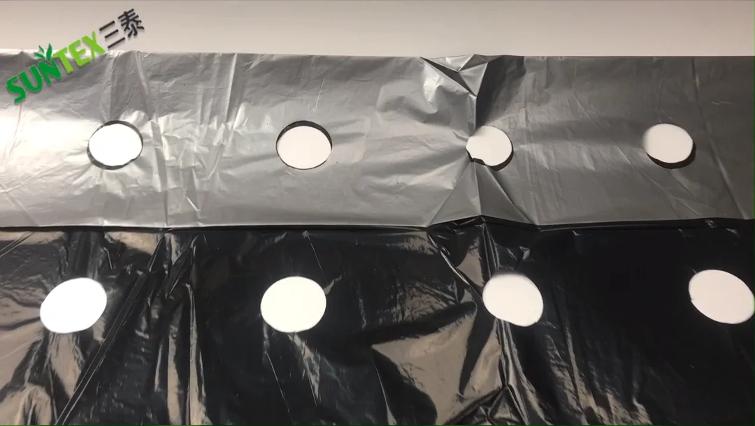 1*50m Pe Silver Black Perforated Plastic Mulch Film Punch Hole Price