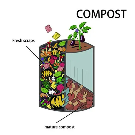 cellulose sponge 54.jpg