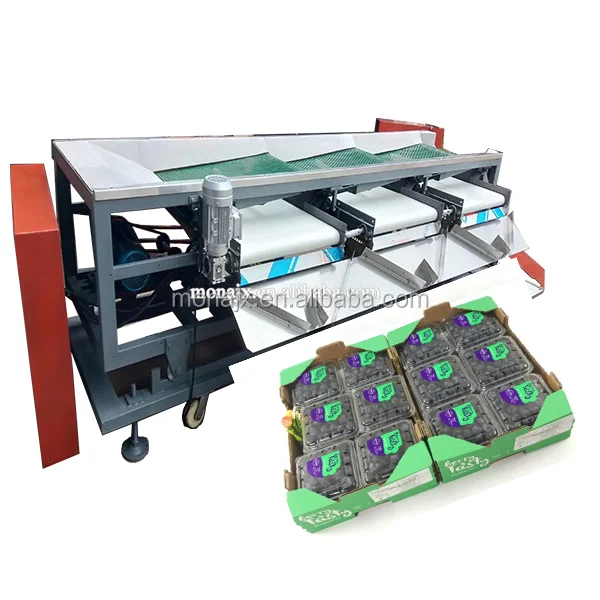 blueberry sorter (10).png