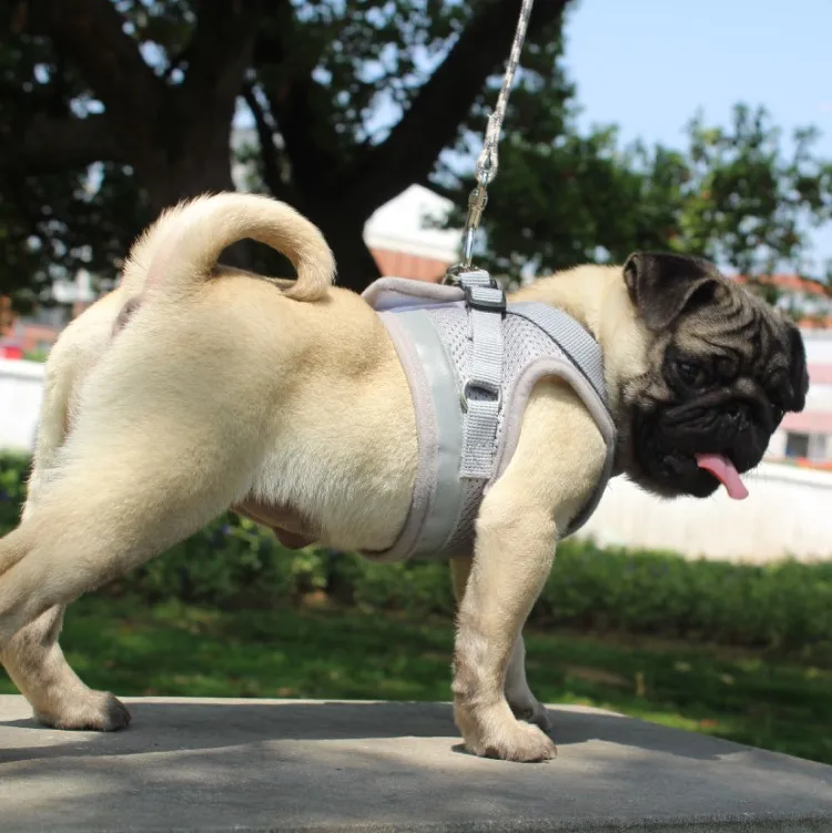 Pet Cat Vest Harness With Free Leash Soft Cat Chest Harness Backpack Adjustable Reflective Breathable