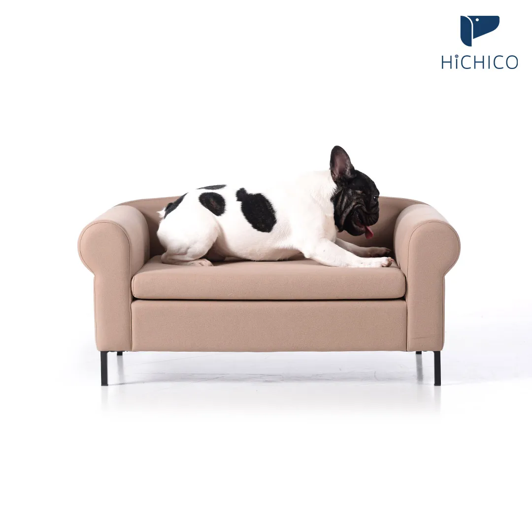 modern dog sofa