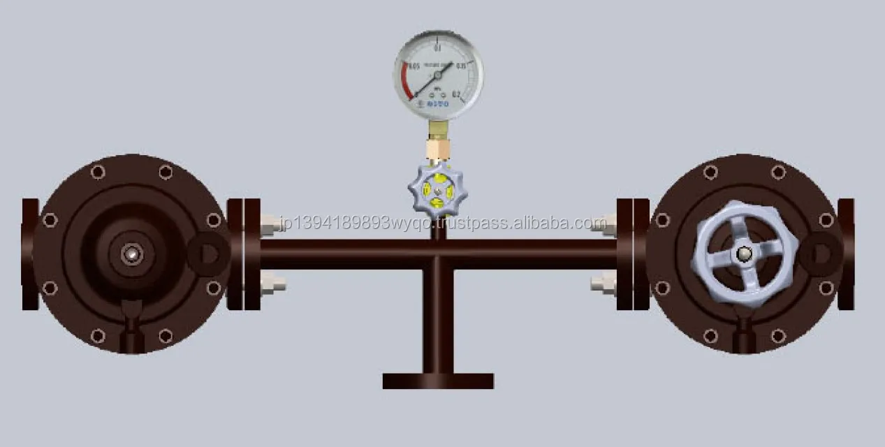 Regulator Lpg High Performance Gas Pressure Control Auto Switches Buy