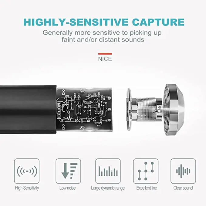 microphone (1)
