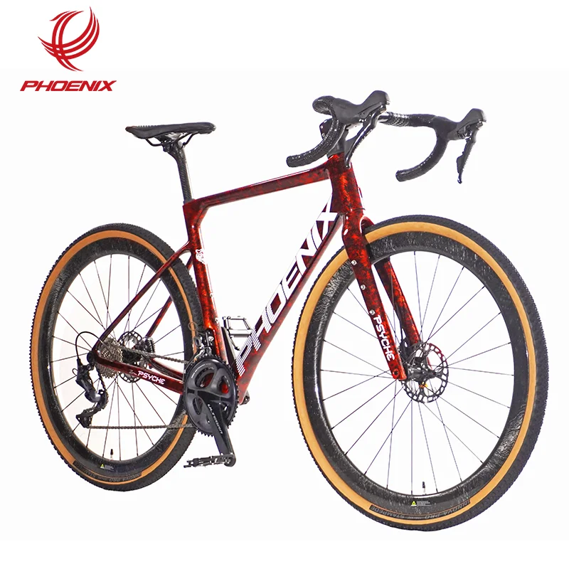 Phoenix 700c Carbon Fiber Frame Bicycle 22 Speed Super Reducer Adult