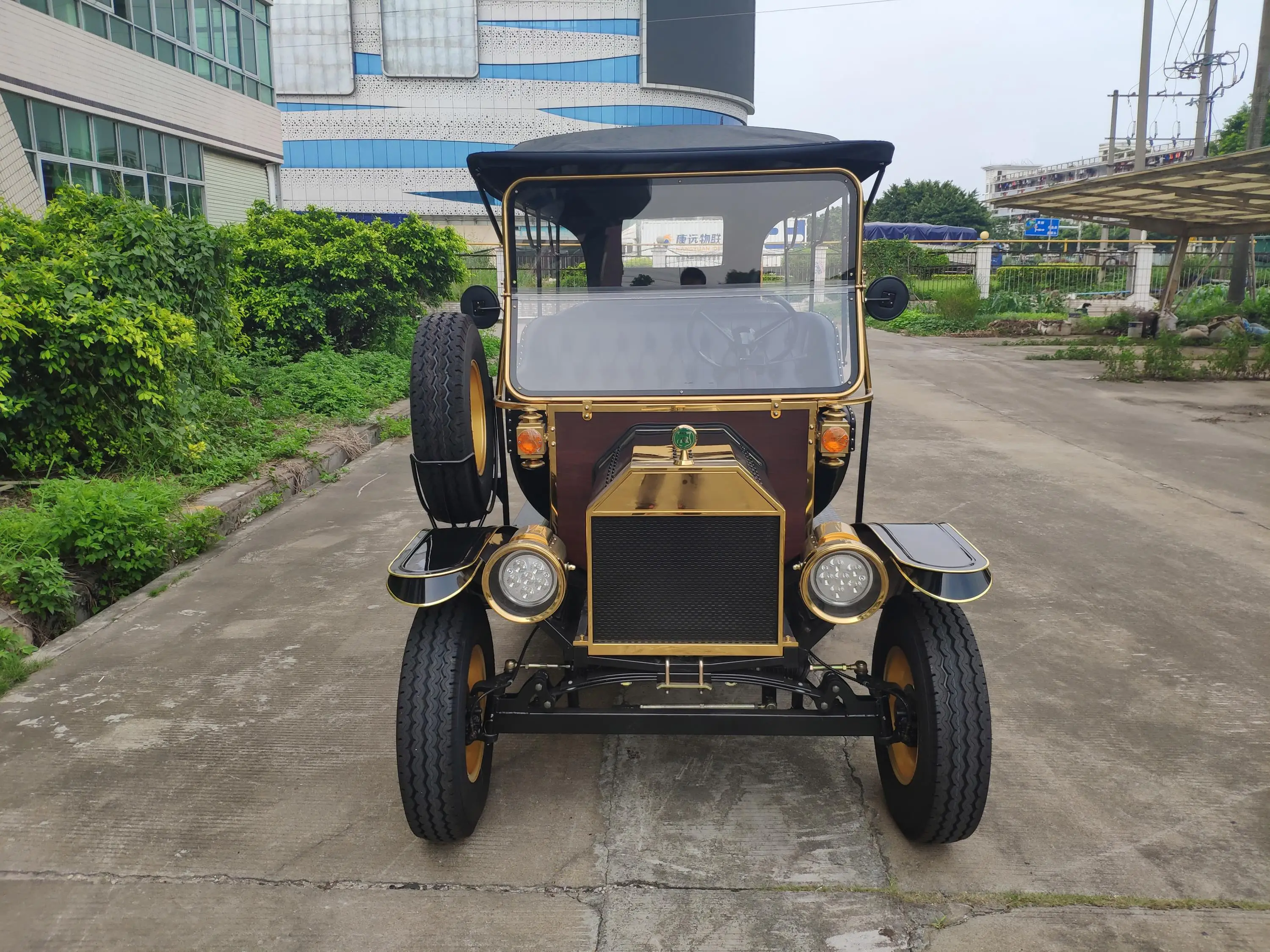 Rariro 8-Seater Electric Golf Cart Buggy Steel Plastic Material for Station Port Airport Mall School Villa Hotel Golf Course